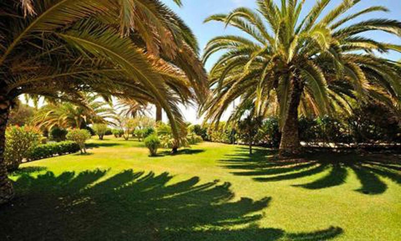 Torralta Alvor Beach 601 Extérieur photo